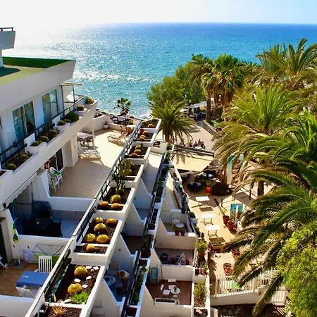Apartment First Line Seaview *